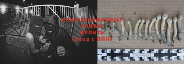 бутират Алзамай